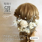 ドライフラワー・かすみ草