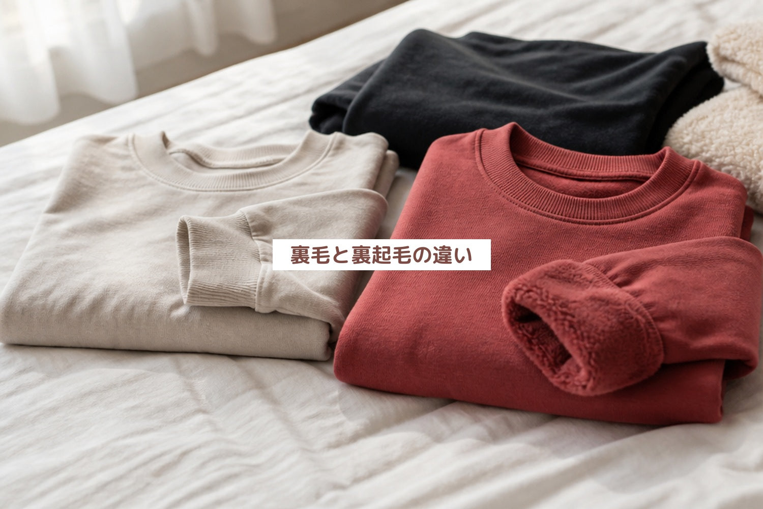 裏毛と裏起毛の違い