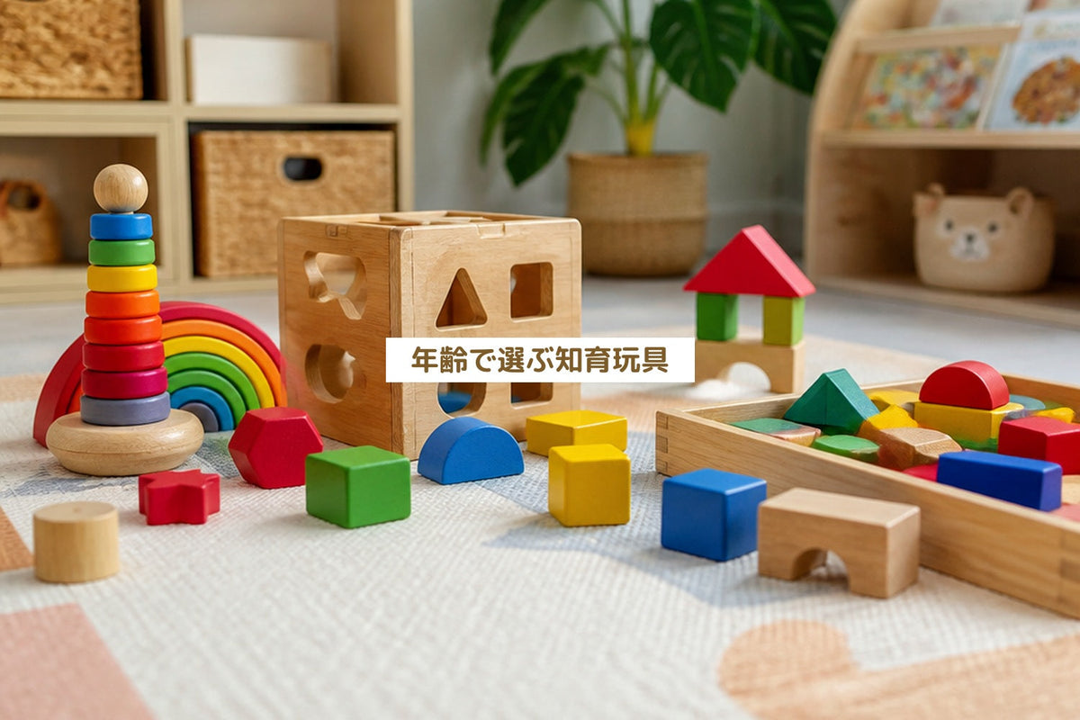 年齢で選ぶ知育玩具