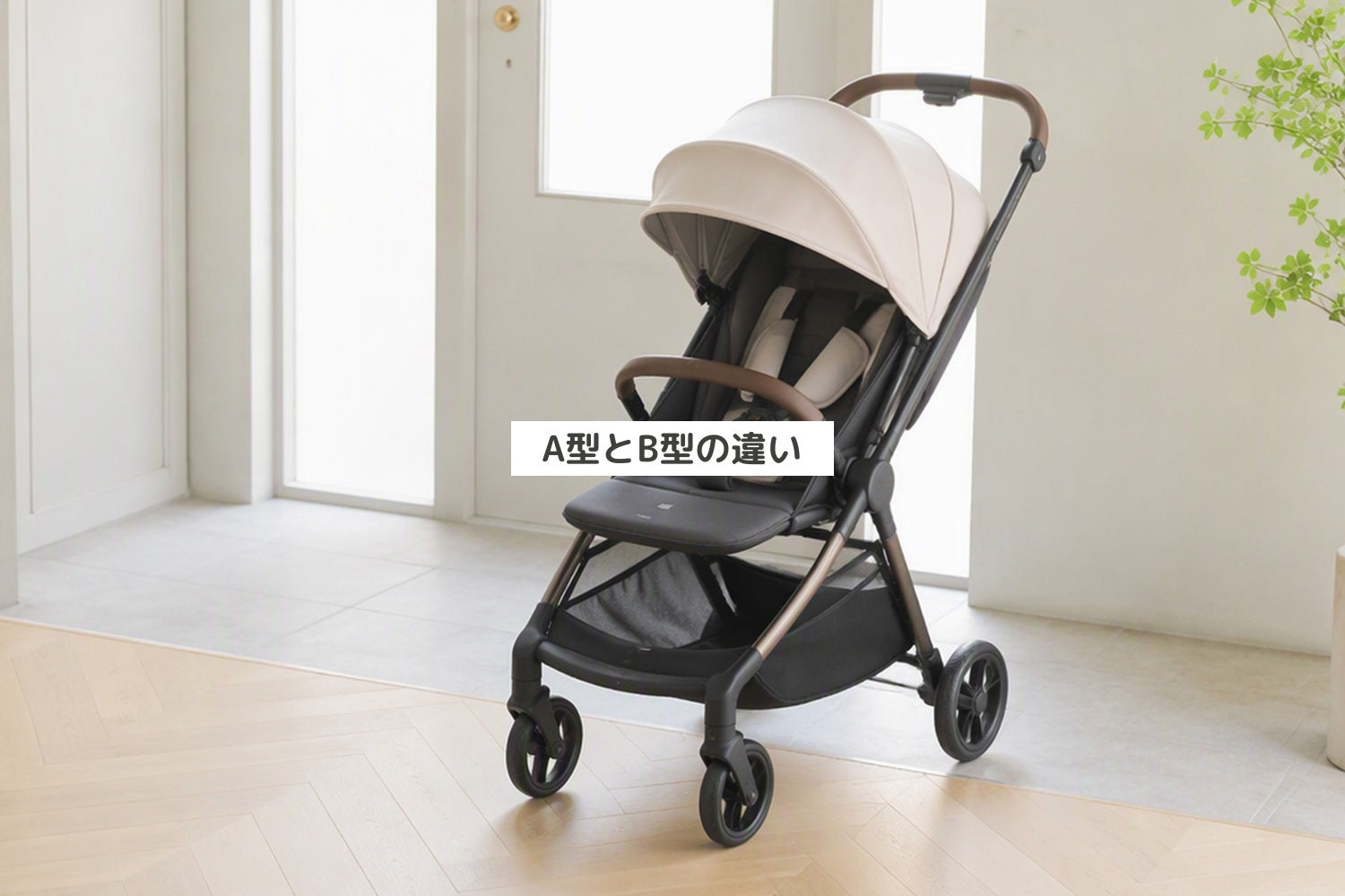 A型とB型の違い