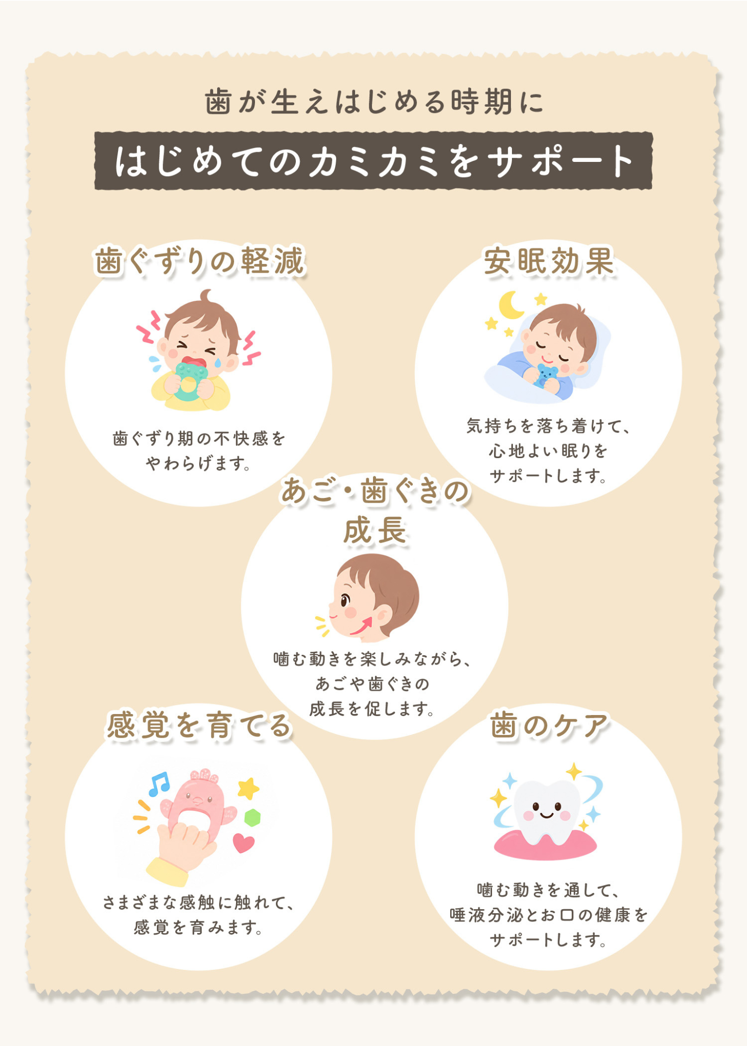 ベビー用歯がためが成長段階に合わせて使えることを紹介する説明画像。歯が生え始める時期のむずむず対策をサポート