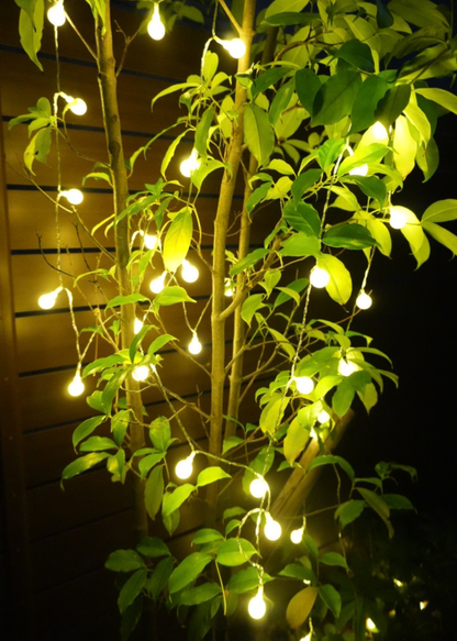 葉の茂る屋外の植物に飾った暖色のボール型イルミネーションライト