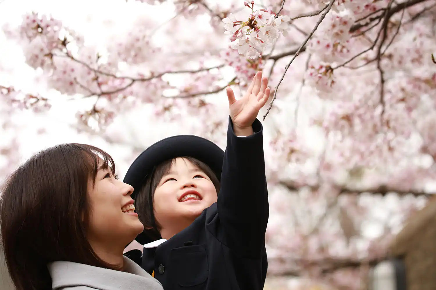 女性と幼い子供が桜の花を鑑賞している。